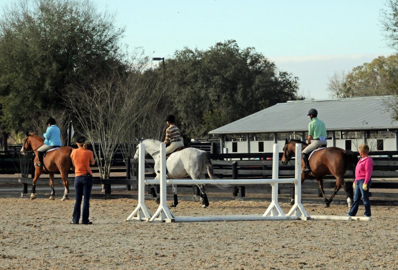 Horses in the Sun Show Preparations