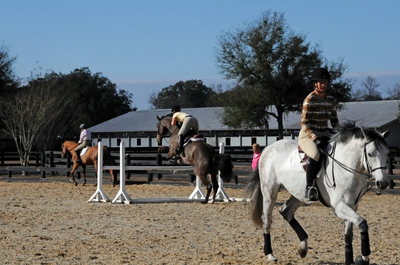 Horses in the Sun Show Preparations