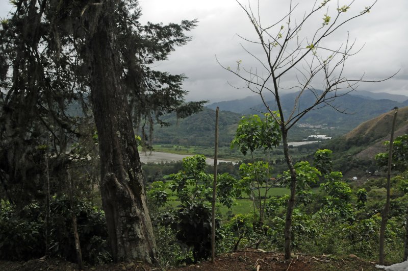 Road from Cartago to Orosi Valley