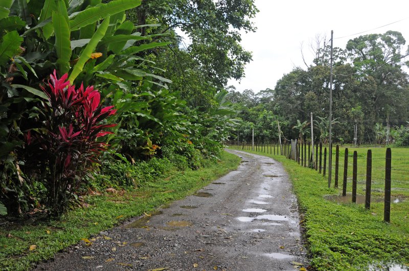 Finca la Isla Botanical Garden