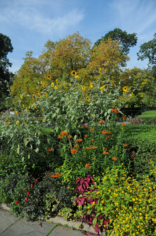 English Conservatory Garden