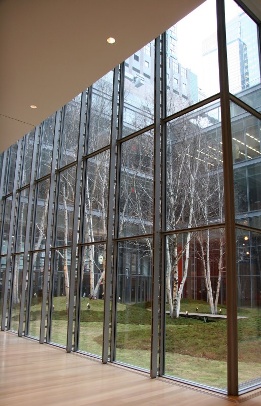 NY Times Building - Interior Birch Tree Garden