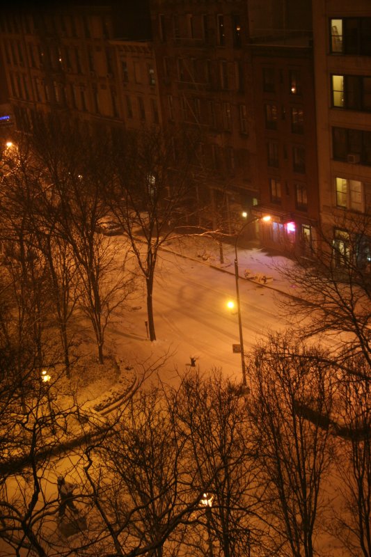 Snowy Night