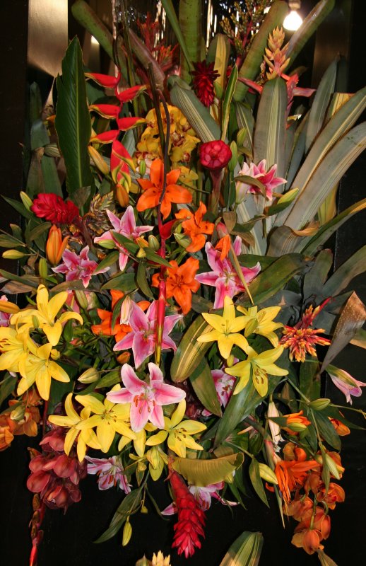 Flower Show - Arrangement