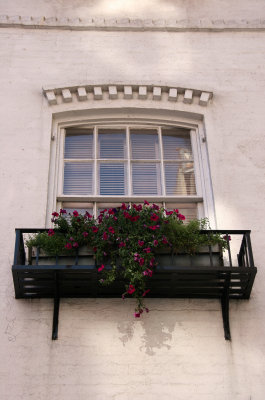 Window Flower  Box