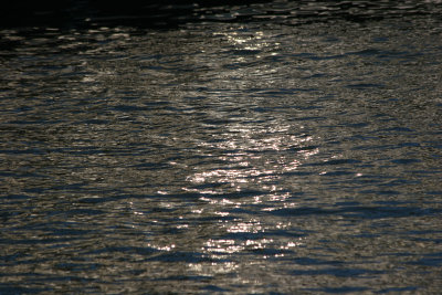 River Reflections