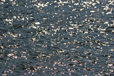 Hudson River Reflections