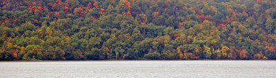 Fall Foliage - New Jersey Palisades from Riverdale, NY Train Station