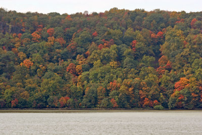 Fall Foliage - New Jersey Palisades from Riverdale, NY Train Station