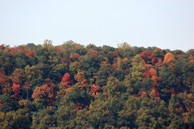 Fall Foliage - New Jersey Palisades from Riverdale, NY Train Station