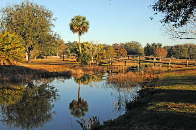 Venetian Gardens