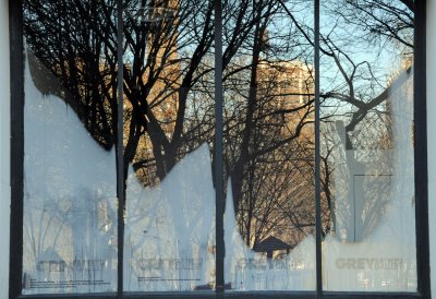 NYU Grey Art Gallery Frosty Windows with Park Reflections