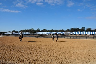 Horses in the Sun Show Preparations