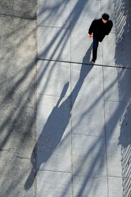 Walking in Long Shadows