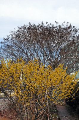 g1/26/411626/3/109758746.OmOGEWF0.jpg