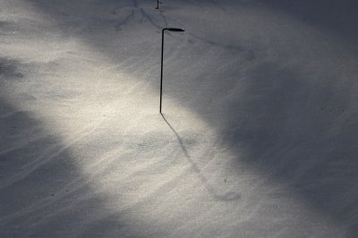 Garden Snow