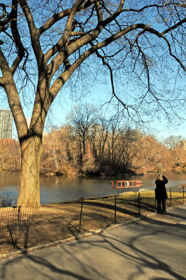 Duck Pond