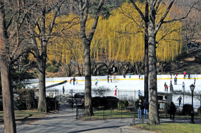 Wollman/Trump Ice Skating Rink