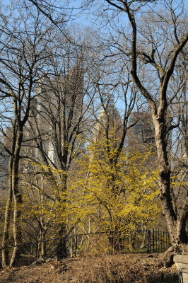 South View from 72nd Street Traverse Road