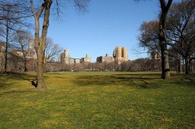 Sheep's Meadow