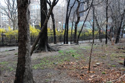g1/26/411626/3/110808341.a5NgjnF0.jpg