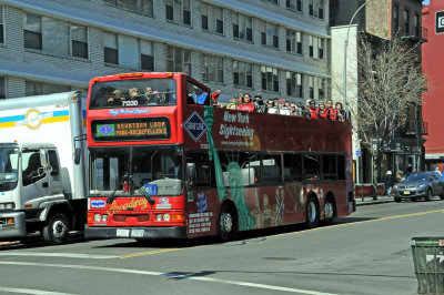 Grayline City Tour Bus
