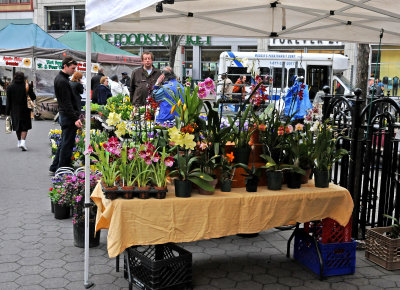 Flower Market