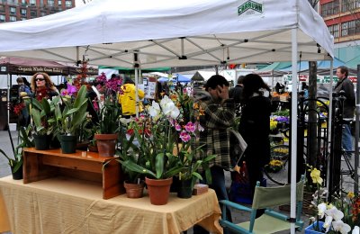 Flower Market