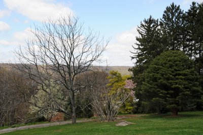 g1/26/411626/3/111849647.RZ6EyKCx.jpg