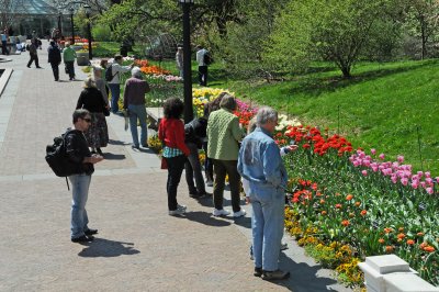 Spring 2009 - Brooklyn Botanic Garden