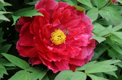 g1/26/411626/3/112287561.u9WrwMdW.jpg