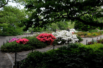 May 15, 2009 Fort Tryon Park