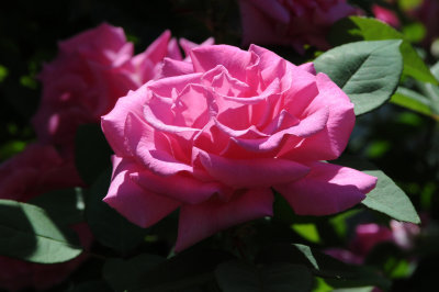 g1/26/411626/3/113343053.XcbzCLiF.jpg
