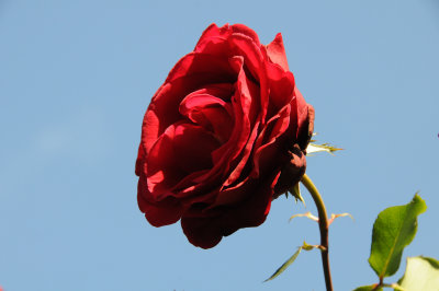g1/26/411626/3/113570350.2Fmy5BAE.jpg