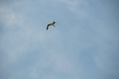 g1/26/411626/3/114079144.sSTEhSVj.jpg