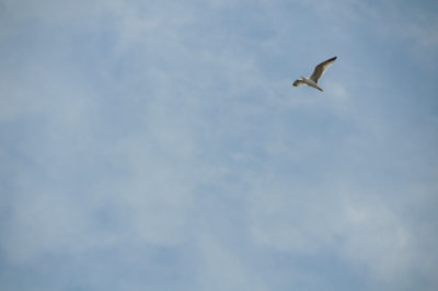 g1/26/411626/3/114079149.0ZzAyUc5.jpg