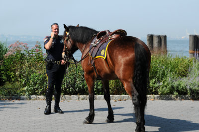 Battery Park - NYPD Policeman with Horse