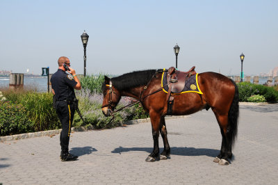 Battery Park - NYPD Policeman with Horse