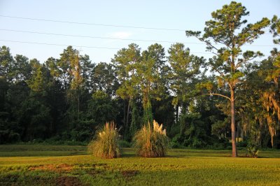 Grand Park Residential Community - Florida
