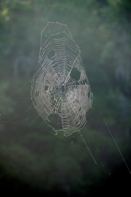 g1/26/411626/3/116257531.ddjnhYWv.jpg