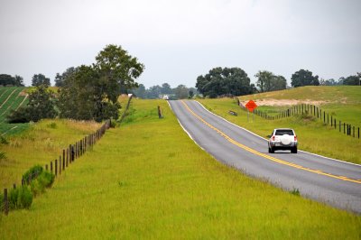 Roadside View