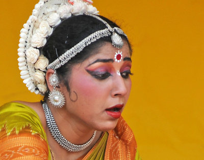 India Festival 2010