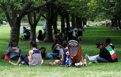 Summer 2010 - Brooklyn Botanic Garden