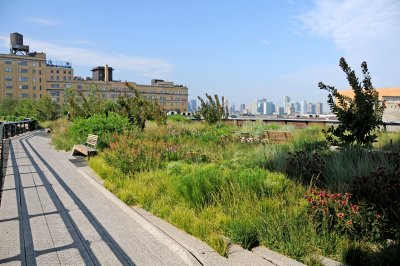 Highline View