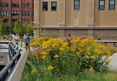 Highline View