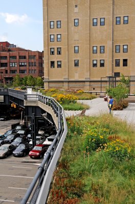 Highline View