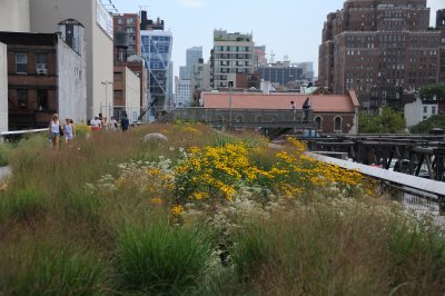 Highline View