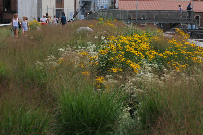 Highline View