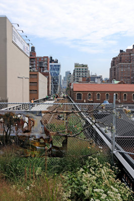 Highline View