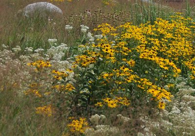 Weeding a Highline Flower Garden